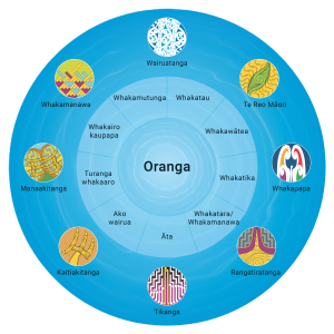 Tangata whenua and bicultural supervision model homepage – tohu